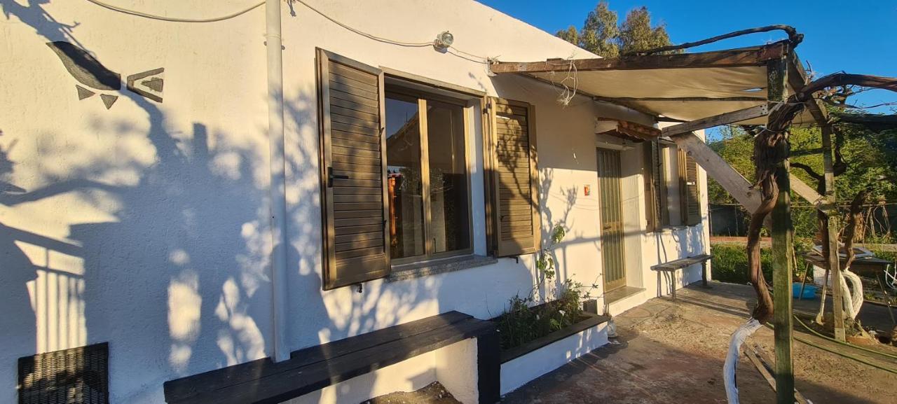 Cosy Home With Private Parking By The Sea 西尼斯科拉 外观 照片
